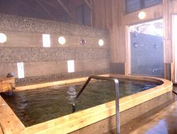 木造建築で浴槽に手すりがついた温泉施設の写真